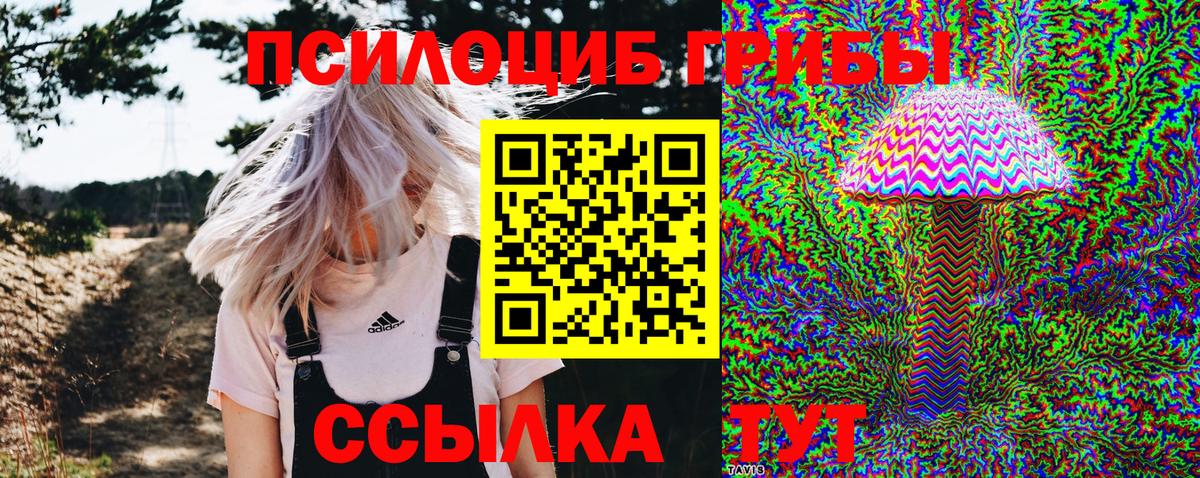 Нальчик  Галлюциногенные грибы MAGIC MUSHROOMS  где можно купить наркотик  Вход с VPN 