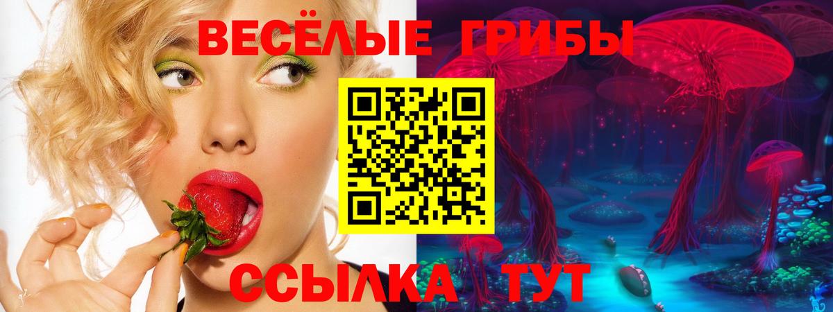 Псилоцибиновые грибы Psilocybe Нальчик